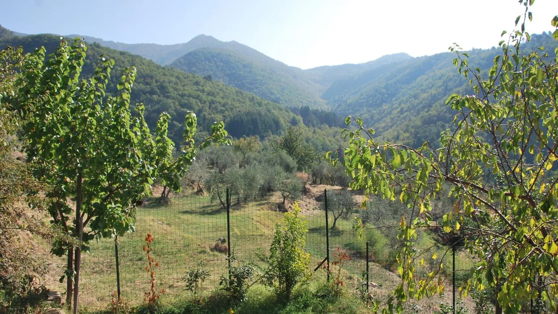 Il Frantoio, Loft Rurale, Con Bbq E Giardino In Pontifogno Villa Reggello Holiday home