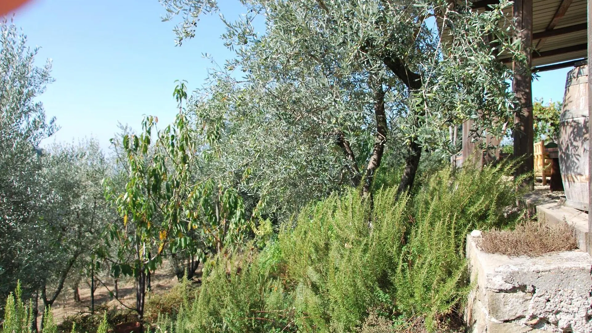 Holiday home Il Frantoio, Loft Rurale, Con Bbq E Giardino In Pontifogno Villa Reggello